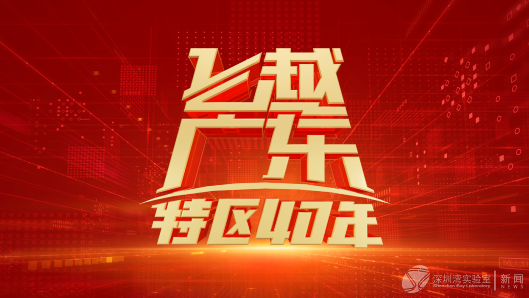 微信图片_20200803140226.png